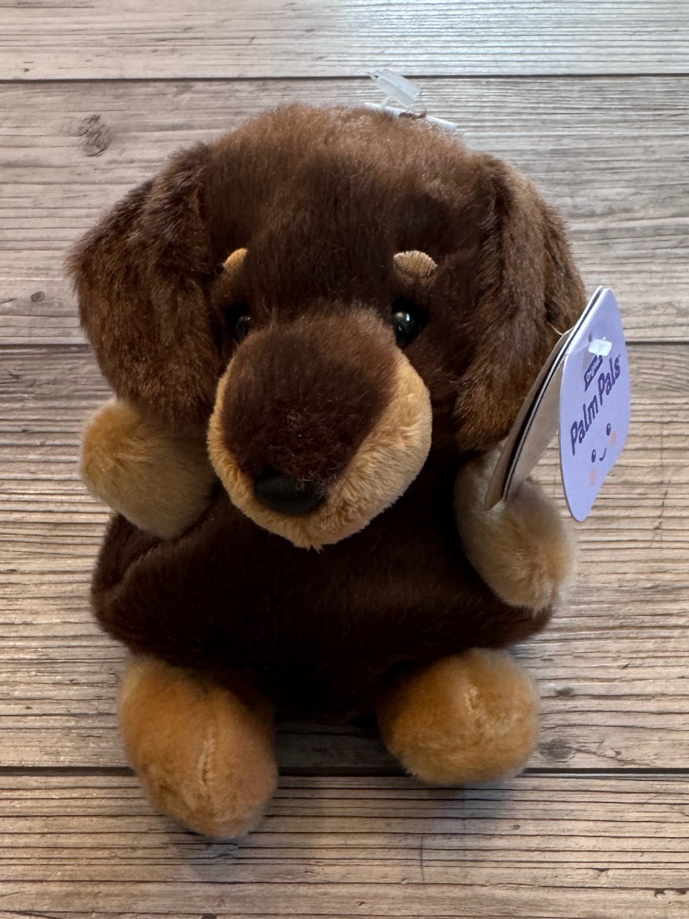 Aurora Palm Pals | Mini Houdini Dachshund